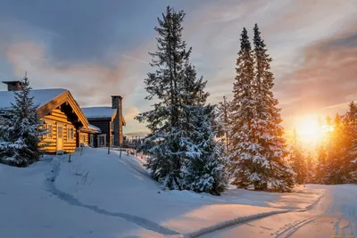 Фотография зимнего уюта: Выберите формат - WebP