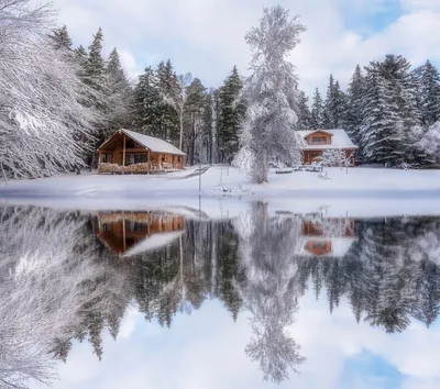 Идиллия зимнего уюта: Загрузите картинку в WebP