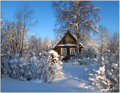 Зимнее фото: Деревенский домик в изображении