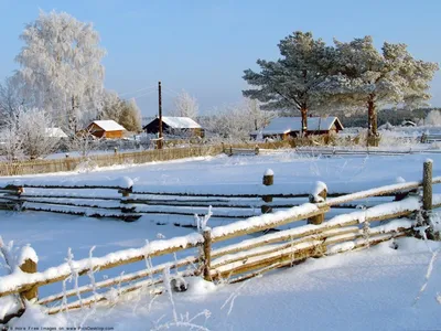 Зимнее закуток: Фотография домика в деревне зимой
