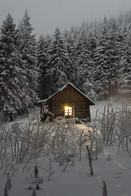 Белоснежная идиллия: Фото зимнего деревенского дома