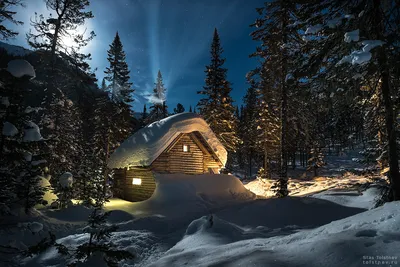Зимняя сказка: Фото домика среди снежных деревьев