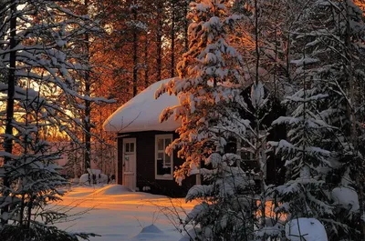 Зимний укромный уголок: Фотография домика в лесу