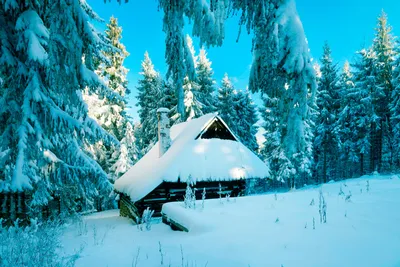 Лесной покой: Фотография уединенного домика зимой
