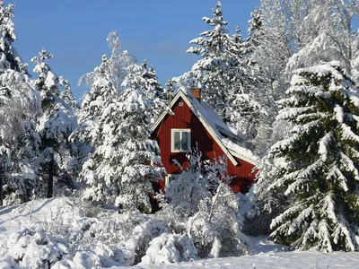 Зимний пейзаж: Изображение домика в окружении снега и деревьев