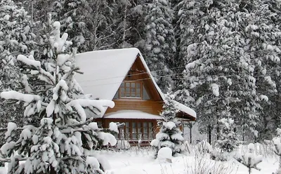 Заснеженная красота: Фото домика в зимнем лесу с форматами JPG, PNG, WebP