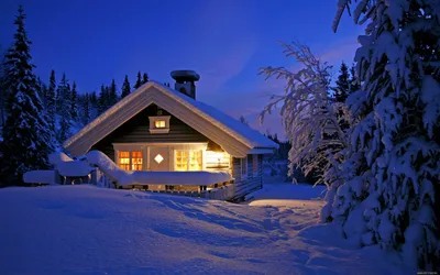 Зимний отдых: Фотография домика среди заснеженных деревьев с форматами для фото