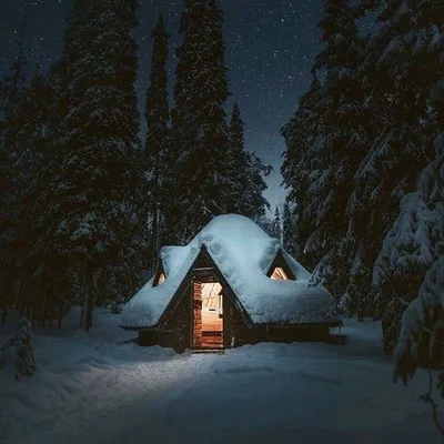 Зимний район: Изображение домика среди снежных деревьев с выбором размера