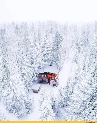 Зимнее вдохновение: Фото уединенного домика с выбором размера изображения