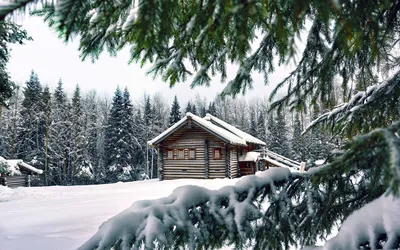 Зимняя красота природы: Домик в лесу на фото с форматами JPG, PNG, WebP