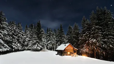 Заснеженная идиллия: Фотография домика среди снежных деревьев с различными вариантами скачивания