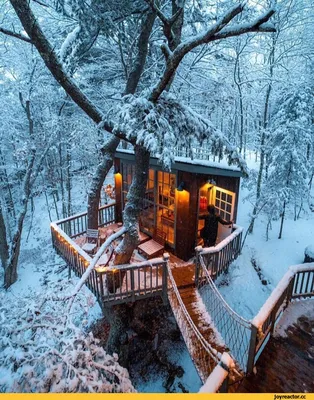 Сказочный пейзаж: Фото уютного домика на фоне зимней природы