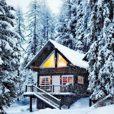 Лесная красота: Изображение домика в зимнем лесу