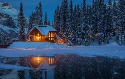 Зимнее пристанище: Картинка уютного домика среди снежных деревьев