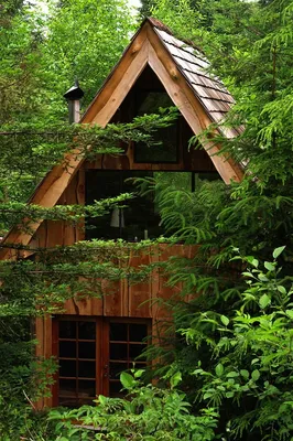 Мечта любителей природы: фото домика в лесу, места, где душа находит покой