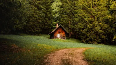 Фотка домика в осеннем лесу: искусство на вашем рабочем столе