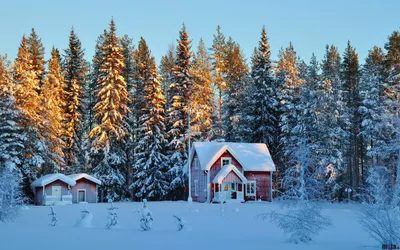 Белая гармония: домик, укутанный снегом, на фото