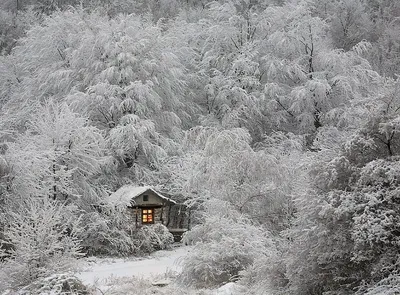 Рисунок зимы: Арт-фото дома под снежным покровом