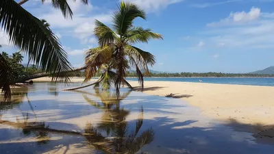 Красивая галерея фотографий Доминиканы карибского моря для вашего просмотра