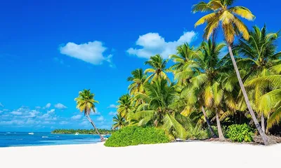 Новые фото пляжей Доминиканы для скачивания