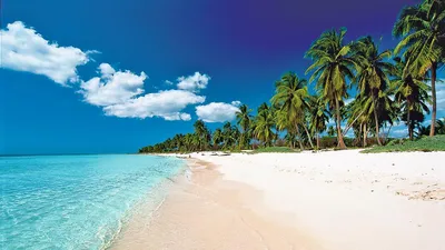 Скачать фото пляжей Доминиканы в JPG, PNG, WebP