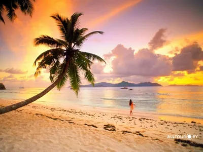 Пляжи Доминиканы: красивые картинки