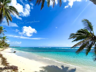 Пляжи Доминиканы: фотографии в хорошем качестве