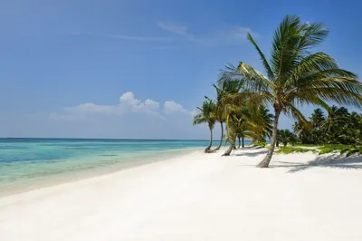 Фото пляжей Доминиканы в HD качестве