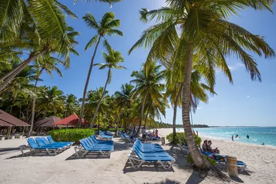 Фото пляжей Доминиканы: скачать бесплатно
