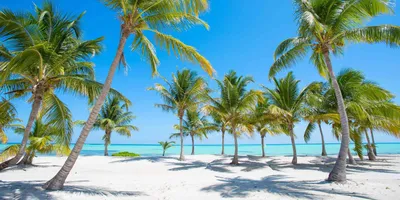 Пляжи Доминиканы: фото в формате HD