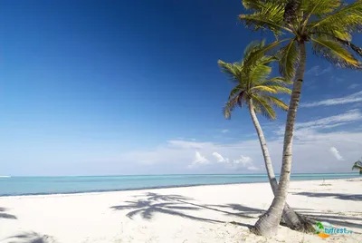 Фото пляжей Доминиканы: выбор формата для скачивания