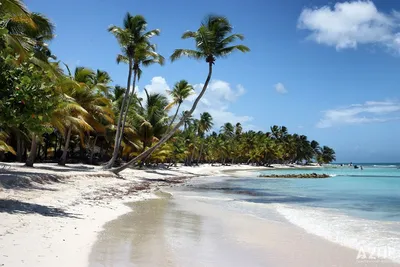 Фото пляжей Доминиканы: изображения в хорошем качестве