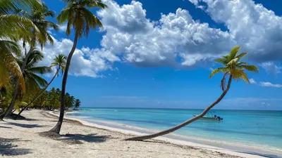 Фото пляжей Доминиканы: новые изображения