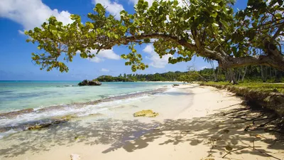 Удивительные пляжи Доминиканы: фотоотчет