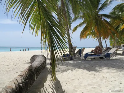 Отдых на пляжах Доминиканы: фотоистория