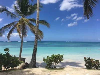 Пляжи Доминиканы в объективе: фотоотчет