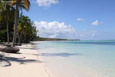 Фотографии пляжей Доминиканы, которые оставят вас в восторге
