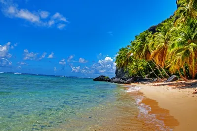 Приключения на пляжах Доминиканы: фотографии