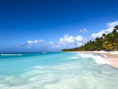 Фотографии пляжей Доминиканы, которые захватывают дух
