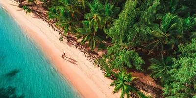 Пляжи Доминиканы: фотографии, которые вызывают желание путешествовать