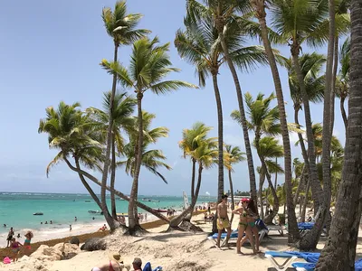 Фотографии пляжей Доминиканы, чтобы расслабиться и насладиться
