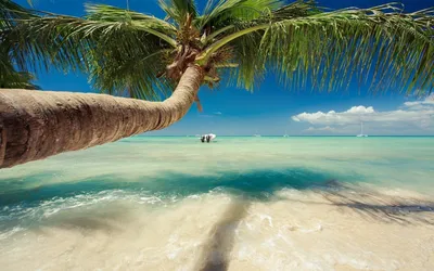 Фотографии пляжей Доминиканы, чтобы погрузиться в романтическую атмосферу