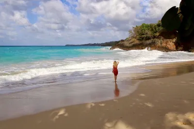 Изображения пляжей Доминиканы: веб-формат