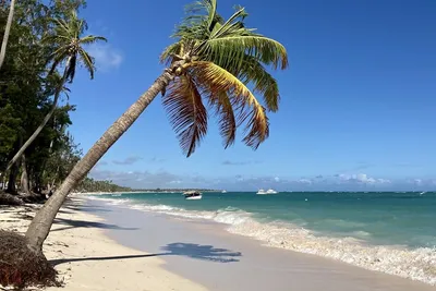 Пляжи Доминиканы: лучшие фото