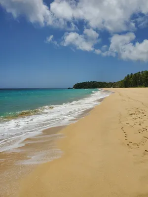 Фото пляжей Доминиканы: красота природы