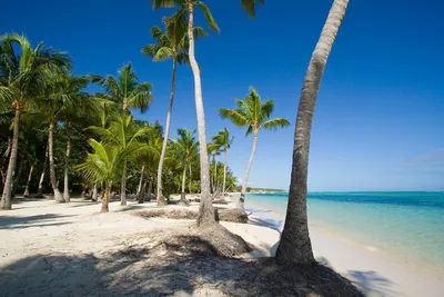 Фотографии пляжей Доминиканы: морская романтика
