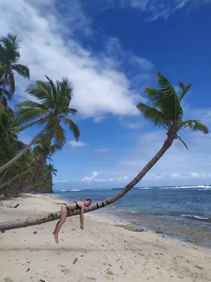 Изображения пляжей Доминиканы: летний отдых