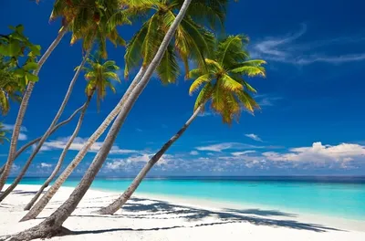 Фото пляжей Доминиканы в высоком разрешении
