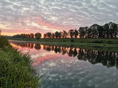 Откройте для себя прекрасный мир реки Дон через фото