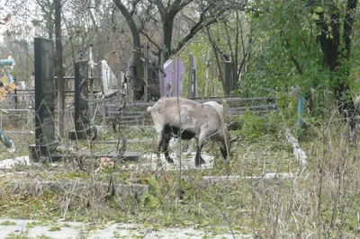 Фото любимого места для отдыха на берегу Донецкого моря